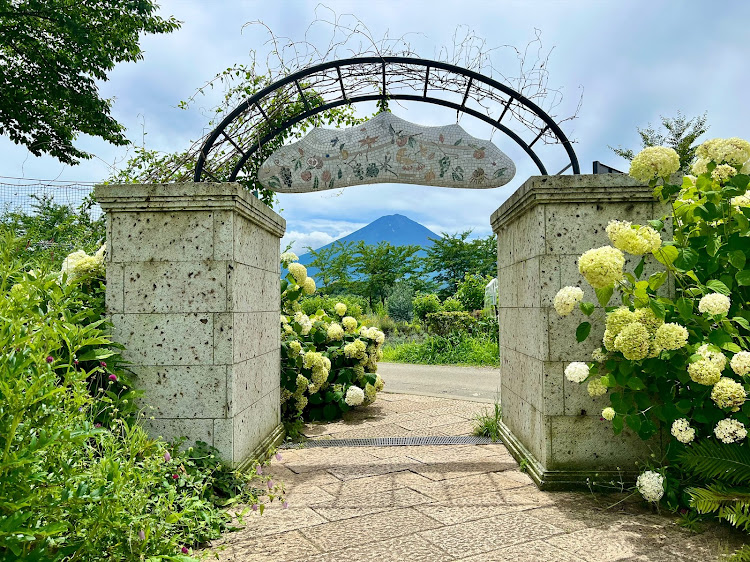 オデッセイの昨日のドライブデート・めっちゃ晴天だけど地元より気温は低い・大石公園のラベンダー畑・ハナテラスのフルーツパフェに関するカスタム事例の投稿画像6枚目