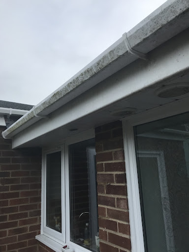 Gutter cleaning 