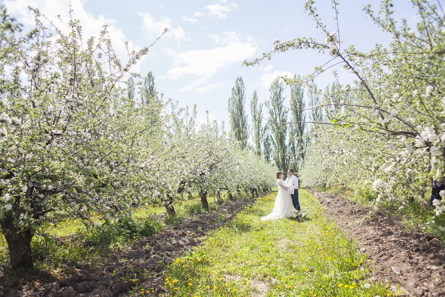 Bryllupsfotograf Viktoriya Getman (viktoriya1111). Bilde av 7 juni 2017