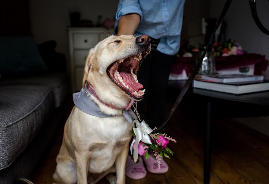 Wedding photographer Steve Grogan (stevegrogan). Photo of 6 November 2018