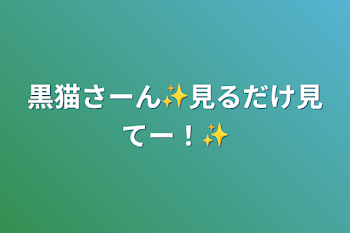 黒猫さーん✨見るだけ見てー！✨