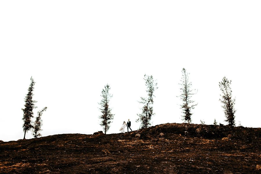 Düğün fotoğrafçısı Wilder Córdova (wilder). 20 Kasım 2017 fotoları