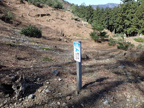 ここは鷹ヶ峰北分岐