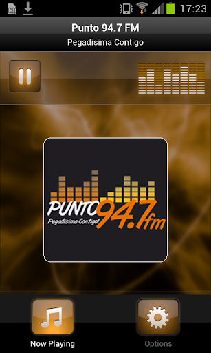 Punto 94.7 FM