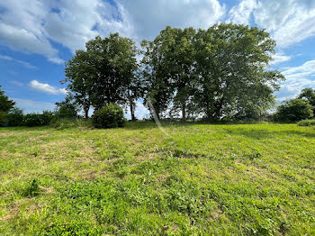 terrain à Faverolles-sur-Cher (41)