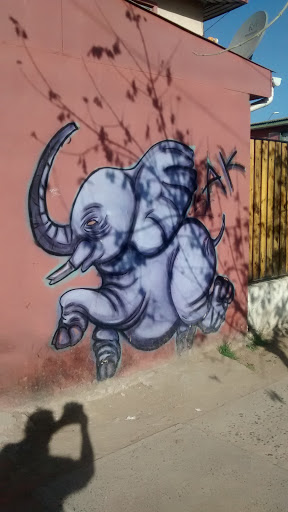 Elefante