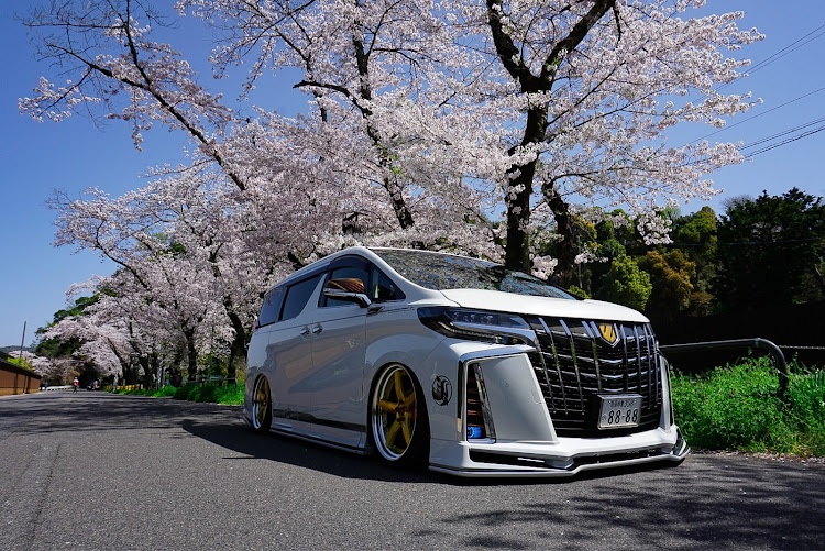 アルファードの桜と愛車・Team kuhl’s・輪止めビビリーズ・Grant.hope223・W白ite List!に関するカスタム事例の投稿画像3枚目