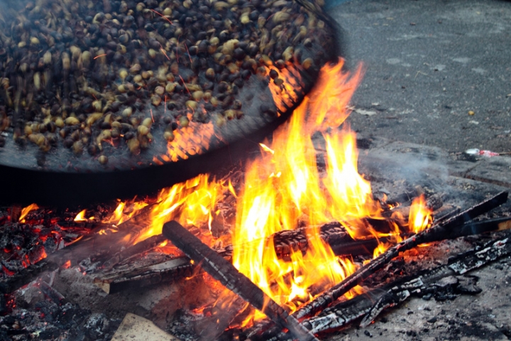 Fiamme e Sapori di micmac