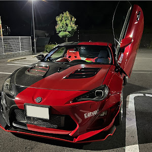 86 ZN6