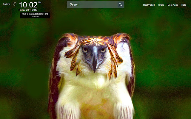 Eagle Wallpapers New Tab Theme