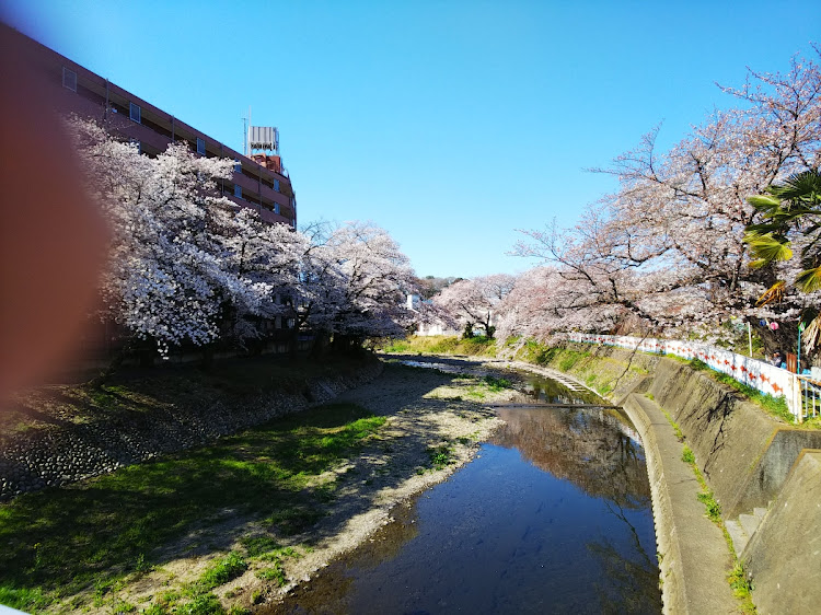 の投稿画像2枚目