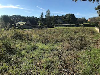 terrain à Lanquais (24)