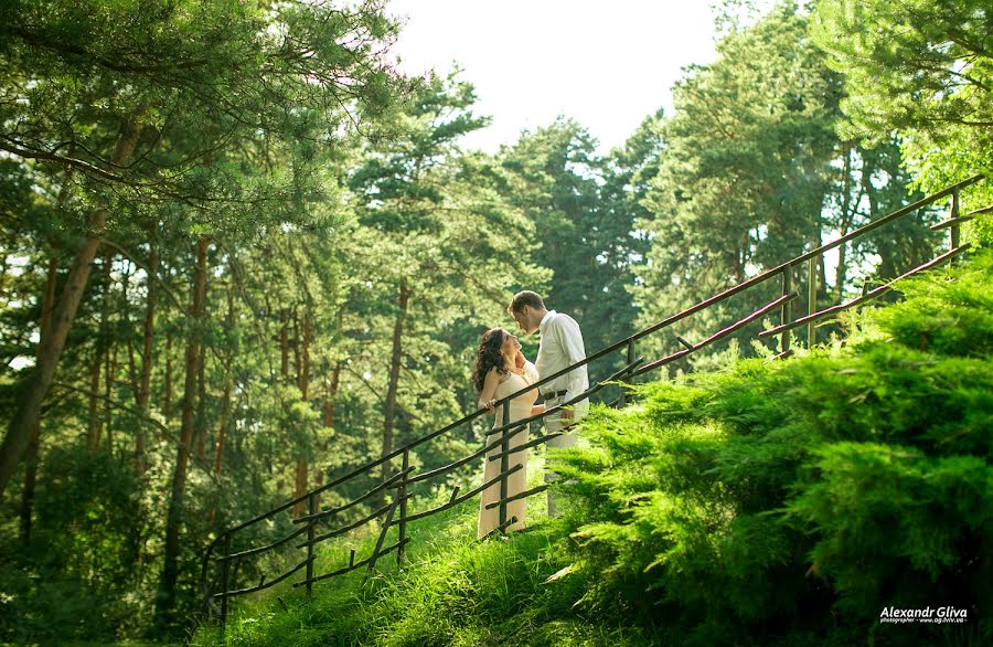 Fotografo di matrimoni Aleksandr Gliva (glivaalexandr). Foto del 11 giugno 2017