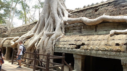 Tomb Raider Movie Temple (Ta Prohm) Cambodia 2016