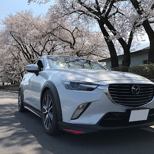 CX-3 DK5FW