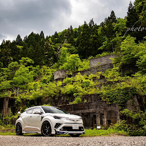 C-HR ZYX10