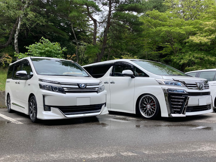 ヴェルファイアの低そうで低くない少し低い車・お盆休み・オヤジの車・ぶどう狩りに関するカスタム事例の投稿画像1枚目