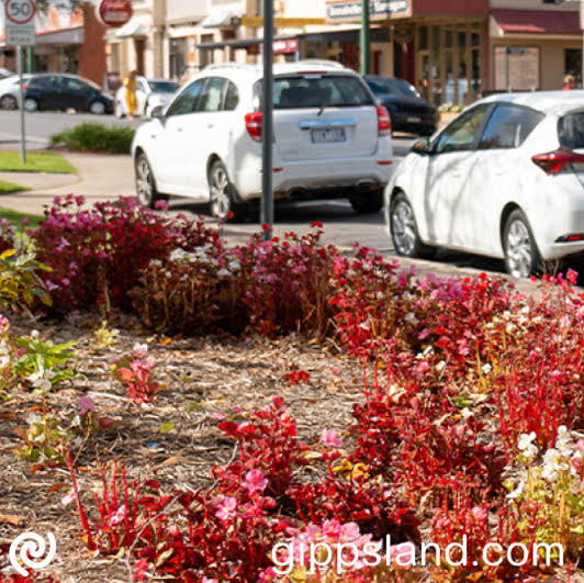 Parking changes will be implemented gradually over the next year, with public notice and direct notifications to affected businesses/residences