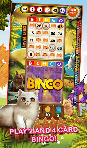 Bingo Pets Mania: Cat Craze