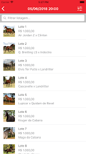 Leilão Friends