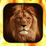 Lion Live Wallpaper icon