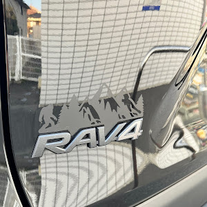 RAV4 MXAA54