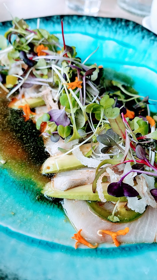 Hamachi Jalapeno Sashimi from Afuri, with yellowtail, avocado, jalapeno, housemade yuzukosho vinaigrette, micro greens, and fried shallots