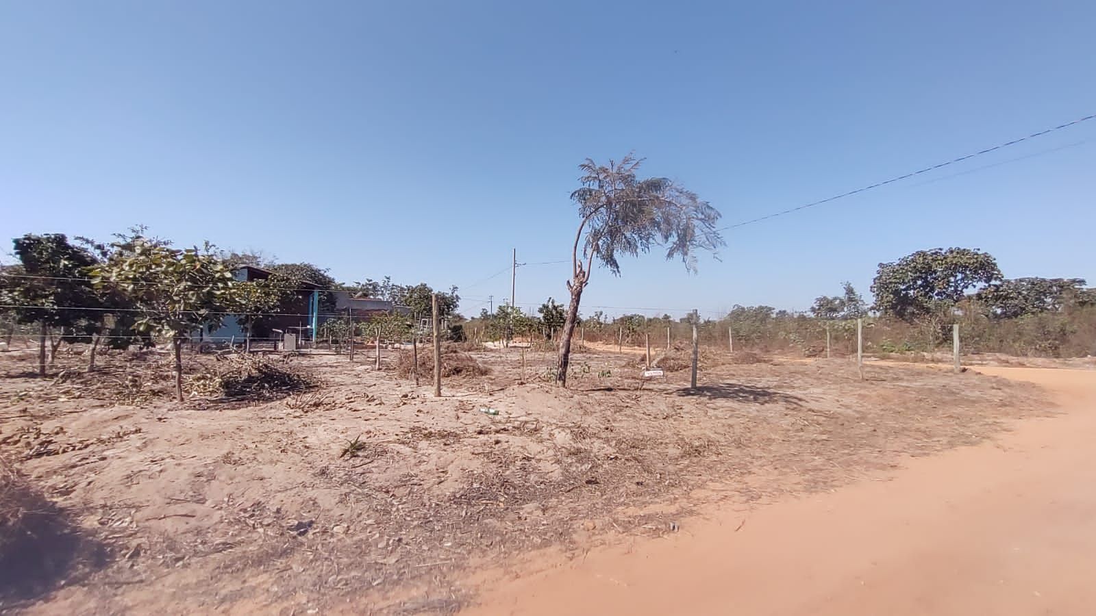 Terrenos à venda São João