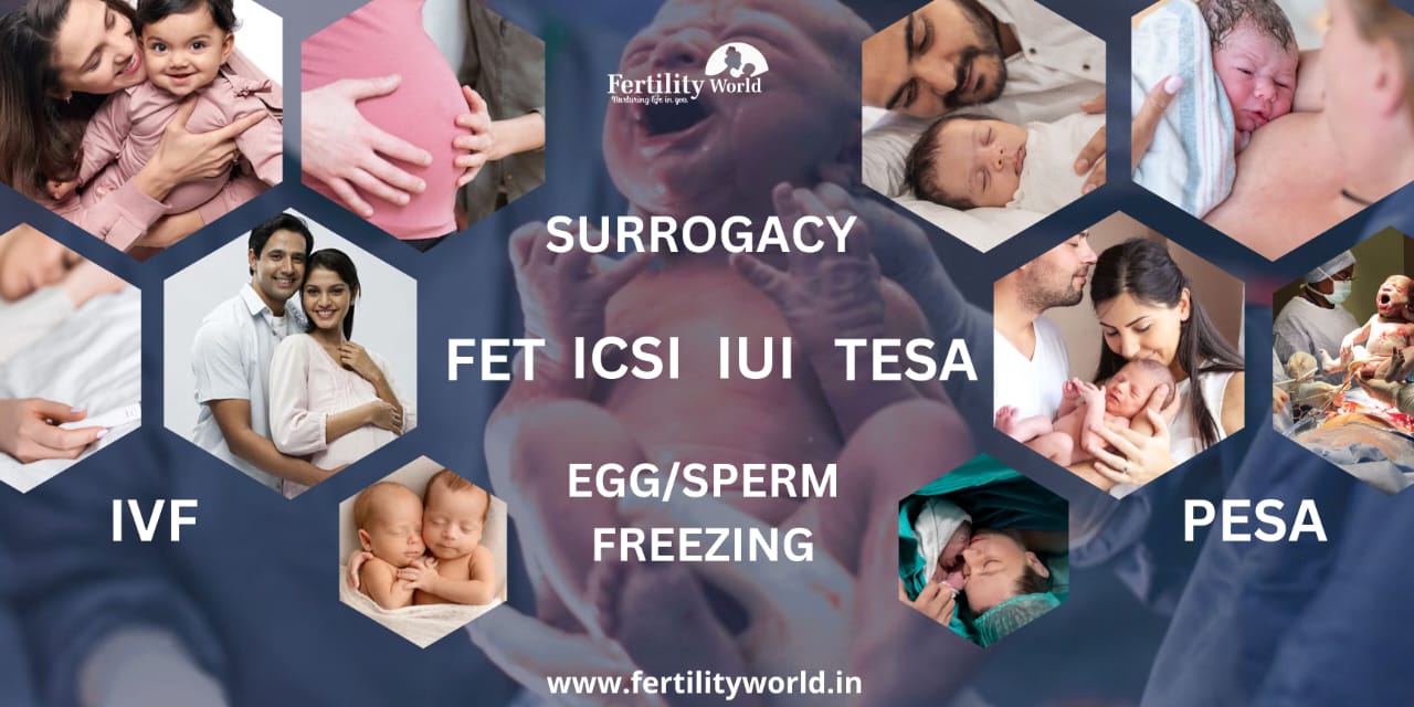 Available fertility treatments at our centre