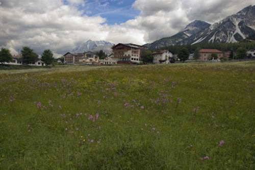 Una passeggiata in alta montagna di Luca G.