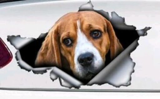 Title 1, Car Tail Pet Pattern Sticker Add a fun and uniq...