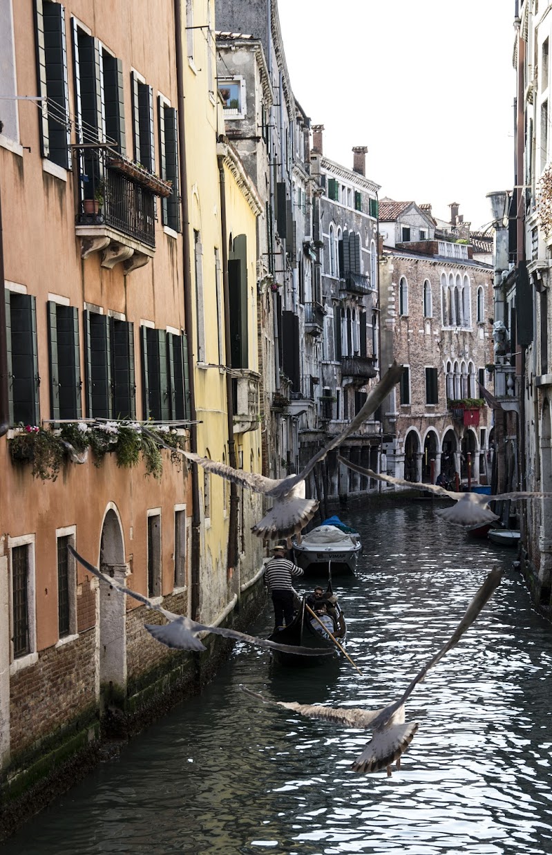 VENEZIA di paolo_ross