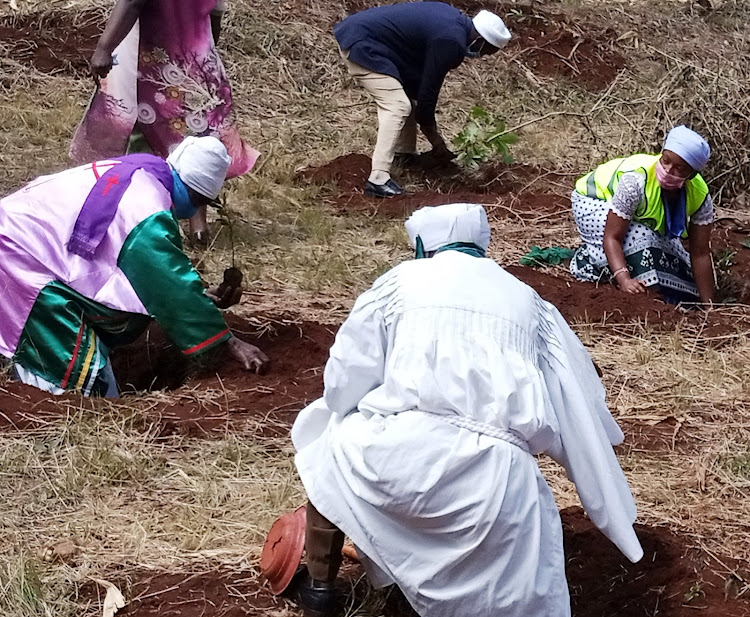 Akorinos plant trees at Gacatha Primary School in Gichugu, Kirinyaga