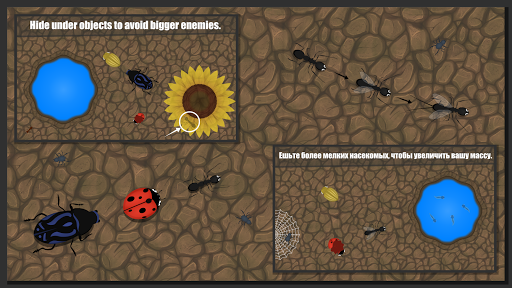 Screenshot Ant Evolution : Insect Life