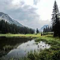 Aria-terra-acqua-freddo! di 