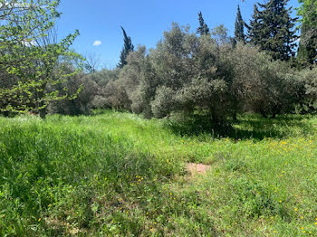 terrain à Eyguières (13)