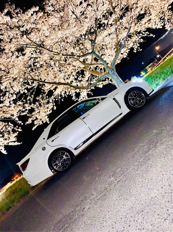 クラウンアスリートの桜と愛車・桜とコラボ・クレンツェ・ライトアップ撮影・コロナウイルスに負けるなに関するカスタム事例の投稿画像4枚目
