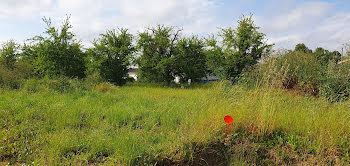 terrain à Marmande (47)