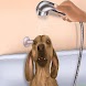 buenos hábitos de baño de tu perro - Androidアプリ