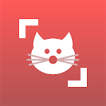 Cover Image of Download Cat Scanner - Identify Cat Breeds  APK