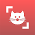 Cat Scanner – Cat Breed Identification8.2.9-G