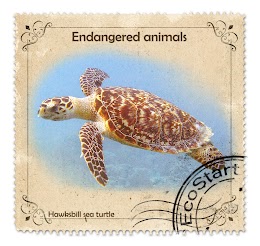 "Stamp" with a hawksbill sea turtles 
