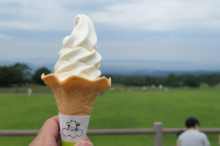 N-WGN カスタムの岡山・皆生温泉・大山・大山まきばみるくの里・米子に関するカスタム事例の投稿画像14枚目