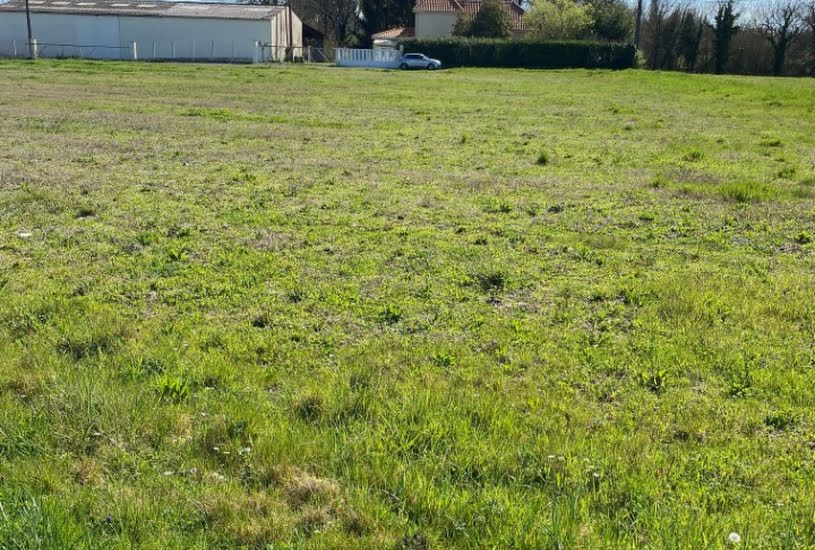  Vente Terrain + Maison - Terrain : 1 316m² - Maison : 85m² à Cars (33390) 