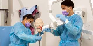 Image result for dental assistant