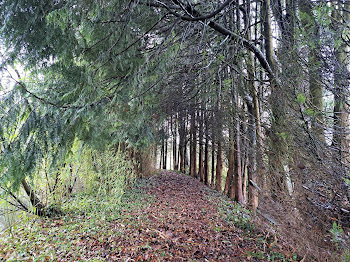 terrain à Champgenéteux (53)