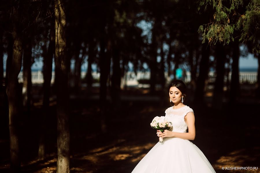 Fotografo di matrimoni Alisheykh Shakhmedov (alisheihphoto). Foto del 22 ottobre 2015