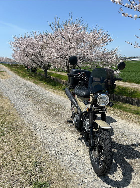 その他のクルマ道楽さんが投稿したカスタム事例の投稿画像2枚目