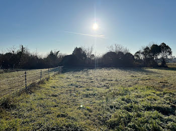 terrain à Saint-Pierre-de-Mons (33)