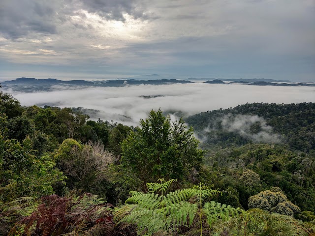 Bukit Senaling Sea of Clouds